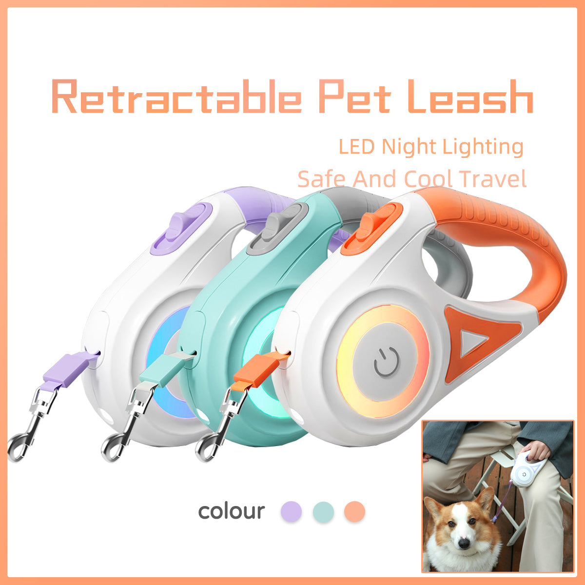Retractable Dog Leash and Collar Set for Small to Medium Dogs and Cats - Automatic Traction System