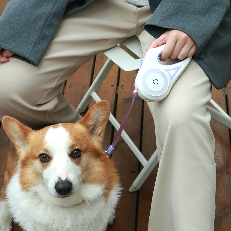 Retractable Dog Leash and Collar Set for Small to Medium Dogs and Cats - Automatic Traction System