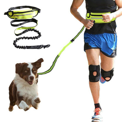 Professional Hands-Free Dog Leash with Shock-Absorbing Bungee for Large Dogs Up to 180 lbs, Featuring Phone Pocket and Water Bottle Holder