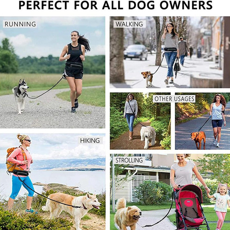 Professional Hands-Free Dog Leash with Shock-Absorbing Bungee for Large Dogs Up to 180 lbs, Featuring Phone Pocket and Water Bottle Holder