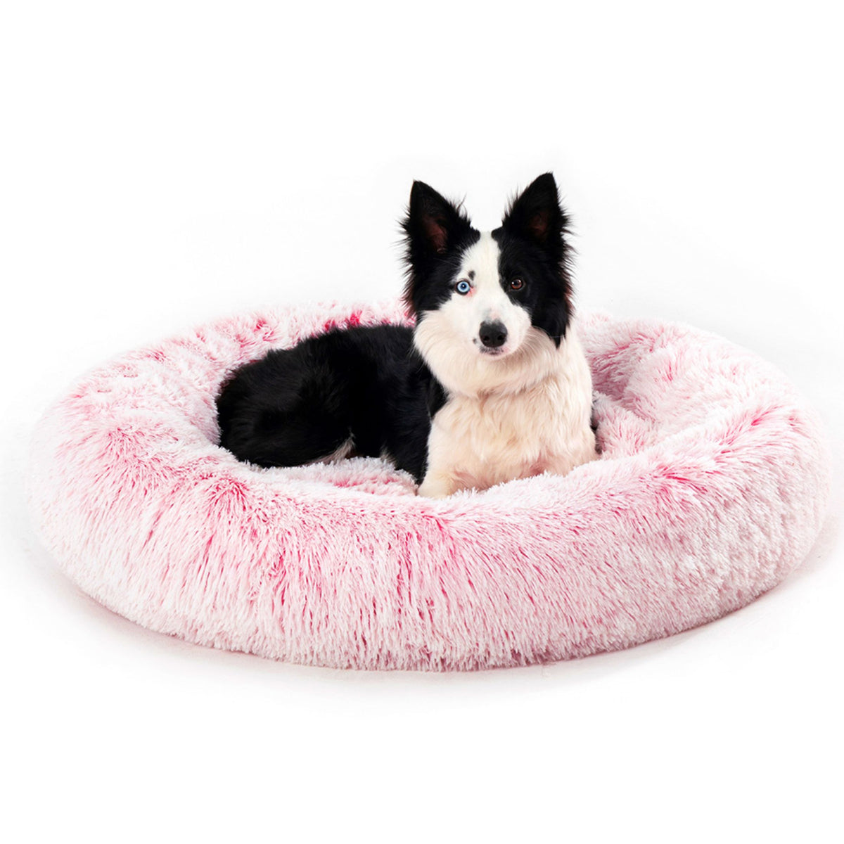 Premium Plush Donut Pet Bed - Comfortable and Washable Cushion for Dogs and Cats in Various Sizes